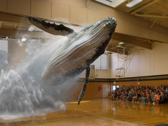 阿里谷歌成冤大頭？Magic Leap CEO怒斥外界質(zhì)疑