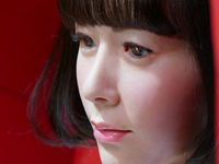  擁有這個機器人 你將成為世界上最幸福的男人     