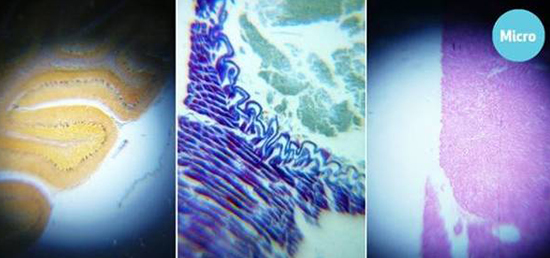 一張不起眼的貼膜 就可讓你變殿堂級攝影大師    