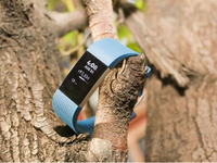 2016可穿戴設(shè)備第四季度出貨量：Fitbit制霸 小米緊追