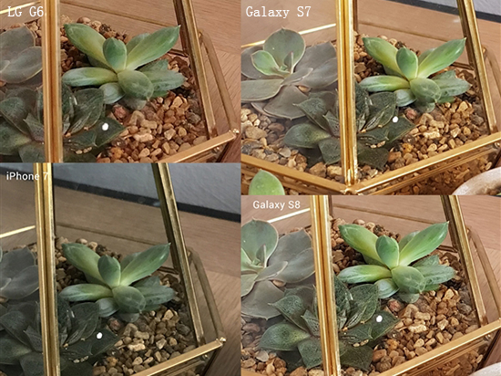 熱騰騰的機皇拍照對決！三星S8和iPhone 7你選誰