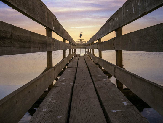 真正一機走天下！首款十六鏡頭相機Light L16最終版發(fā)布