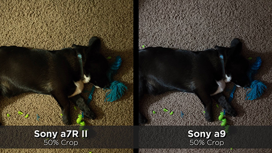 索尼A9對(duì)比A7R2感光度測(cè)試：越貴真的越好？