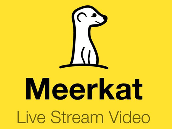 這次要抄哪家？ Facebook要推視頻群聊App