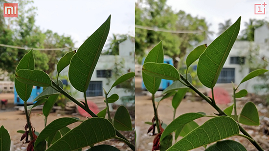 小米6一加5拍攝對(duì)比：雙攝差距在哪里啊？