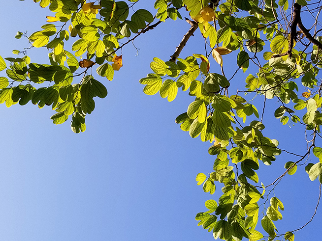 三星Note8拍照詳細(xì)測試：硬件配置旗艦但軟件還有提升空間