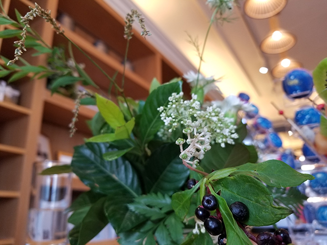 三星Note8拍照詳細(xì)測試：硬件配置旗艦但軟件還有提升空間