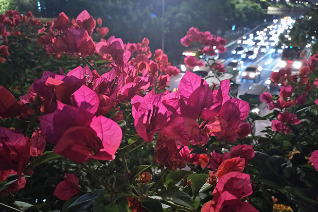 諾基亞7體驗(yàn)評測：卸掉情懷重新上路，不一樣的安卓味道