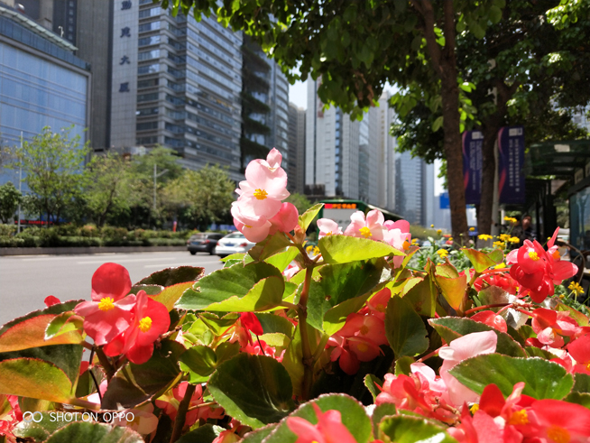 OPPO R15夢(mèng)鏡紅體驗(yàn)評(píng)測：顏值再升級(jí) 夜拍更出眾