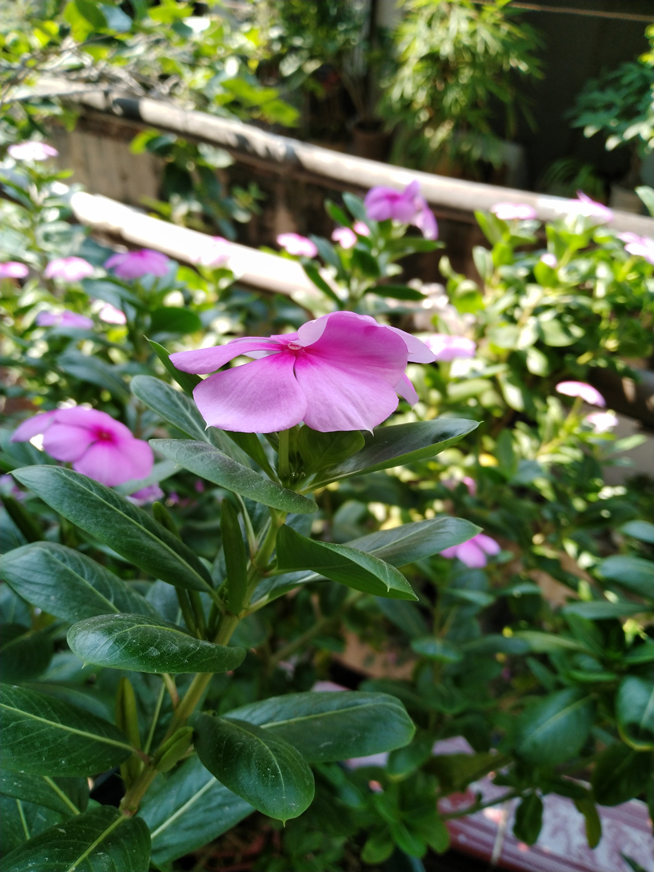 榮耀8X Max體驗(yàn)評(píng)測(cè)：巨屏大有作為 名副其實(shí)的隨身影院