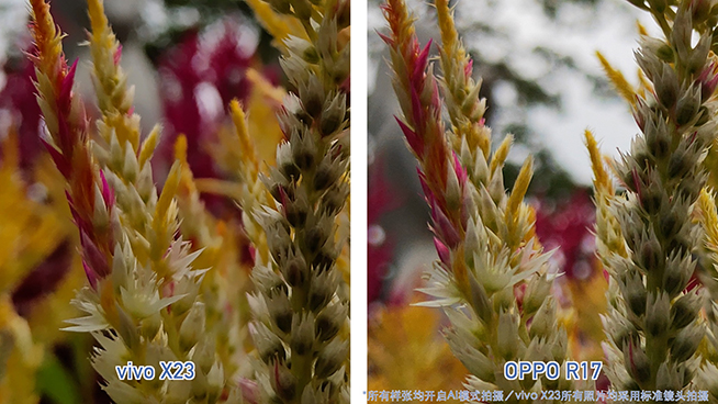 OPPO R17對(duì)比vivo X23：拍照清晰度與夜景表現(xiàn)完美超越X23