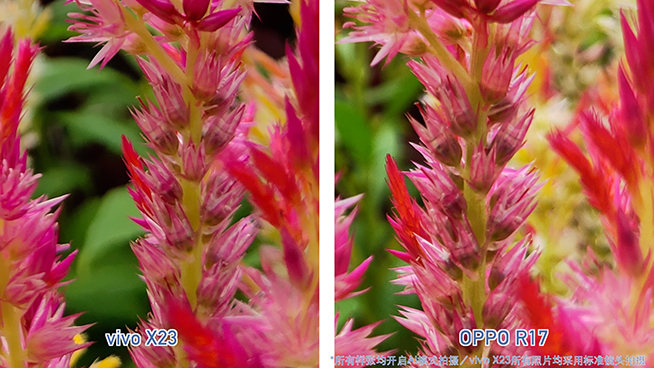 OPPO R17對(duì)比vivo X23：拍照清晰度與夜景表現(xiàn)完美超越X23