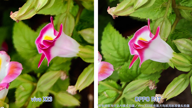 OPPO R17對(duì)比vivo X23：拍照清晰度與夜景表現(xiàn)完美超越X23