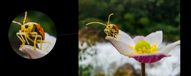 華為Mate 20再度引領(lǐng)拍攝創(chuàng)新:矩陣多焦三攝好看更好用