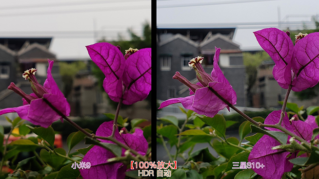 三星S10+小米9相機(jī)對比：小米虛化更好 但綜合表現(xiàn)三星明顯占優(yōu)