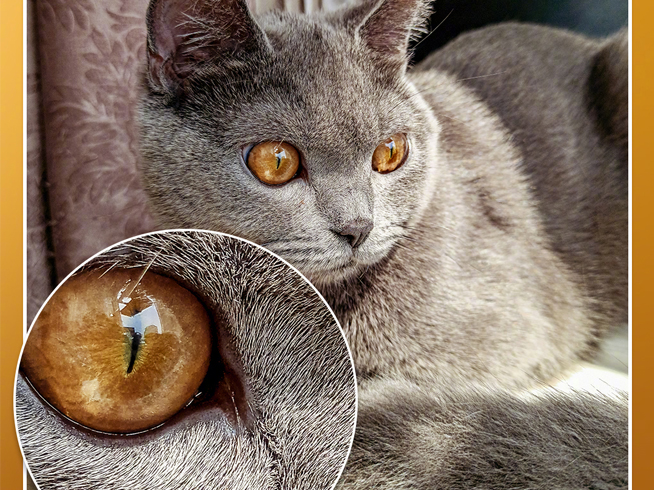 跟realme搶首發(fā)？紅米新機(jī)也要用上三星6400萬超清鏡頭