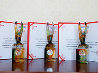 捧得中國手機設計最高獎 努比亞連中三元彰顯實力