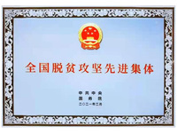 廣東電信扶貧辦榮獲“全國(guó)脫貧攻堅(jiān)先進(jìn)集體”稱(chēng)號(hào) 