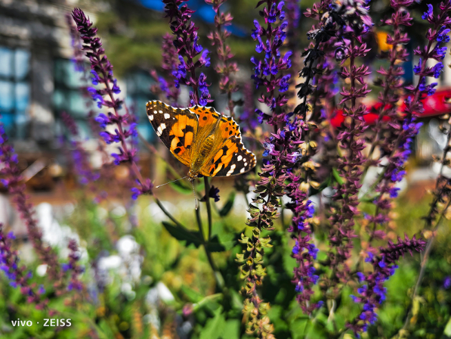 vivo X90系列最后一塊拼圖！OriginOS 3定檔11月8日發(fā)布