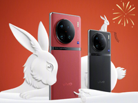 vivo蟬聯(lián)中國市場份額冠軍！榮耀第二蘋果第三 小米僅第五