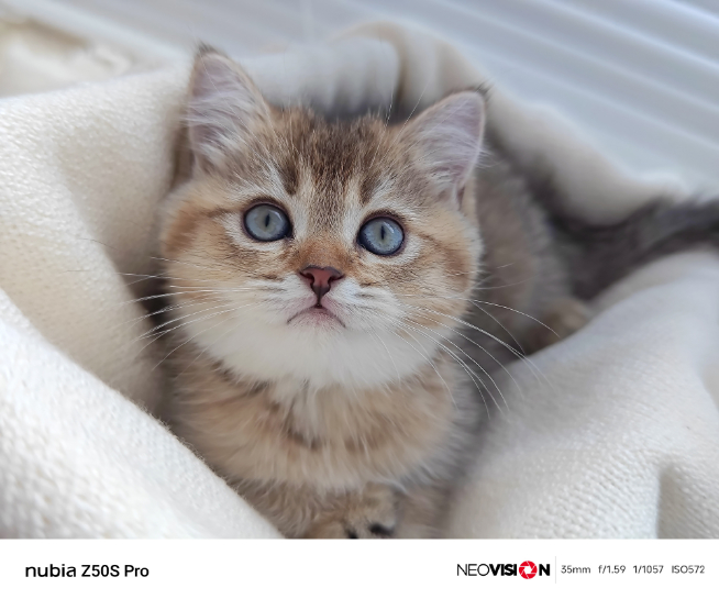 我行我素全新升級(jí)大底35mm主攝！努比亞Z50S Pro繼續(xù)戰(zhàn)影像