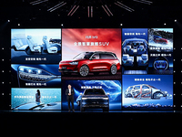 驚喜連連！問(wèn)界M9及華為冬季全場(chǎng)景發(fā)布會(huì)順利召開(kāi)