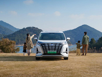 最懂用戶的宜商宜家全能MPV！2024款騰勢D9正式上市