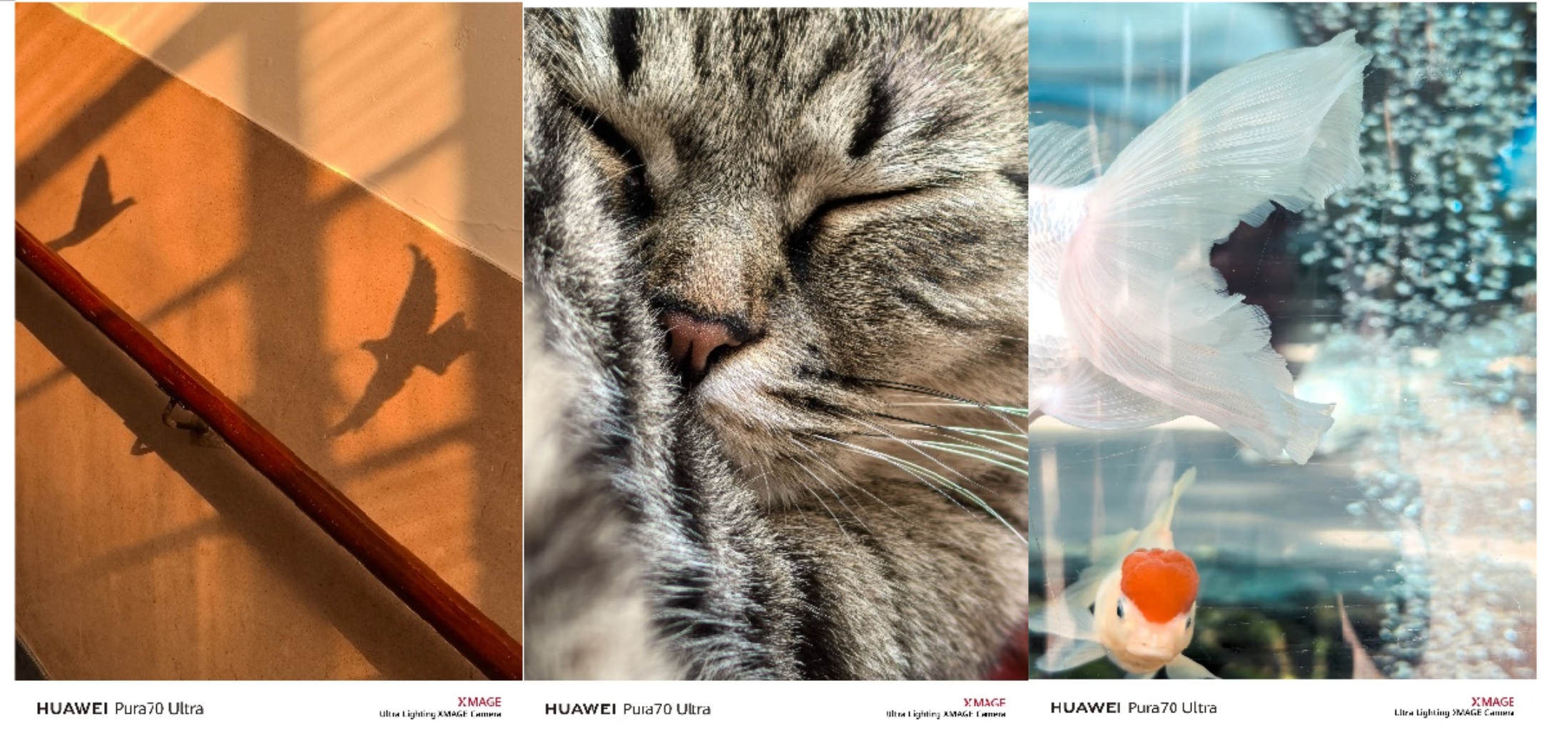 華為Pura 70銳意風(fēng)尚之夜閃耀上海，不愧是時(shí)尚圈新名片