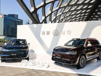 問(wèn)界M9 2025款發(fā)布上市，車載小藝體驗(yàn)升級(jí)支持深度思考