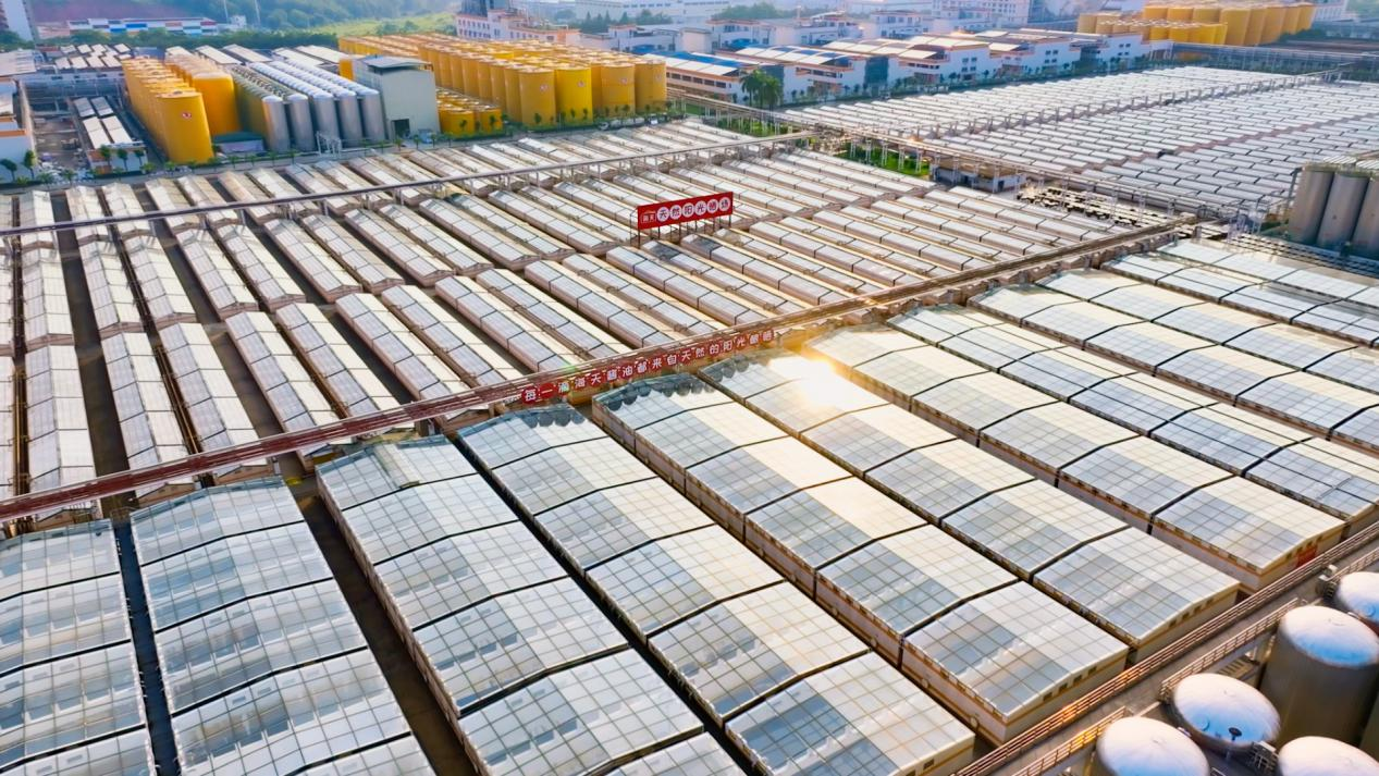 數(shù)智聯(lián)通·廣貨行天下丨5G+AI釀出“鮮”滋味